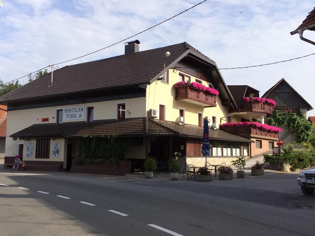 Gostilna Turk Hotel Hotedrsica Exterior photo
